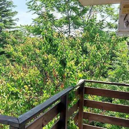 Cozy, Spacious Near Paradise Bay アパート